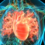 Keep heart diseases at bay with these cooking oils. List inside