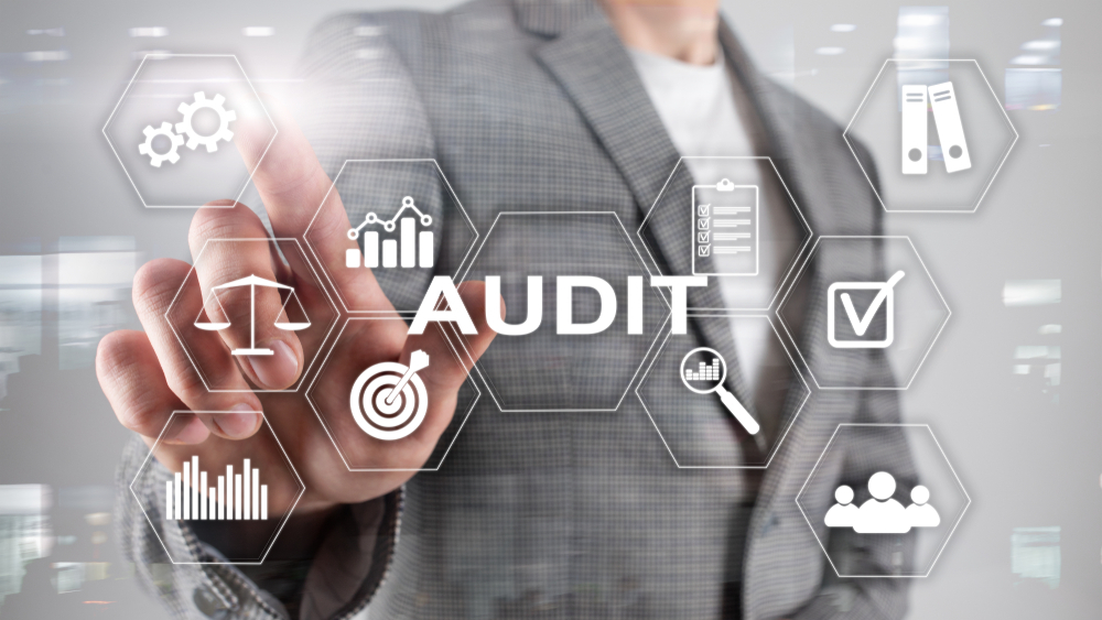 Audit Management Service